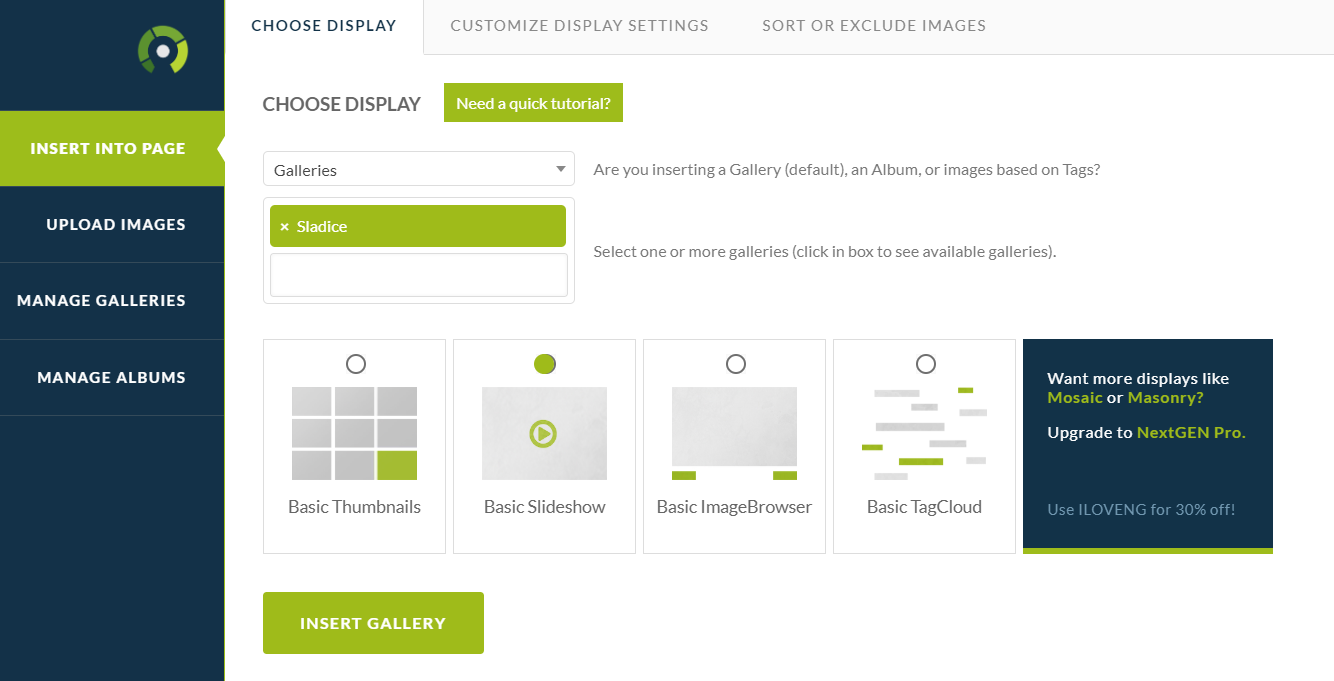 Vtičnik WordPress Gallery Plugin – NextGEN Gallery - Domenca.com Blog