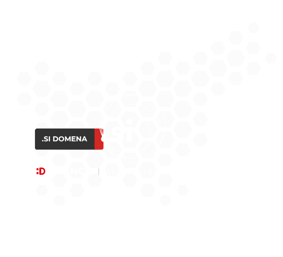 Domena SI - ugodna registracija pri Domenci